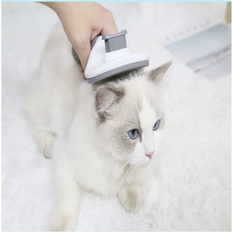 PENTE LIMPEZA PETS
